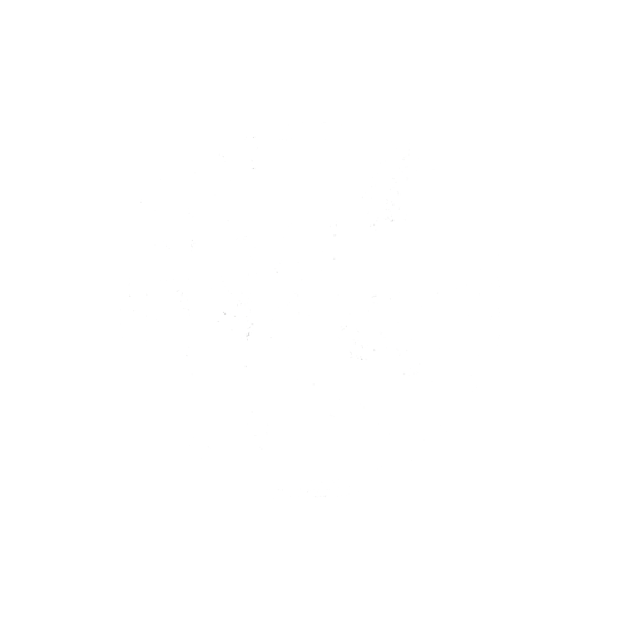 Real Wrap